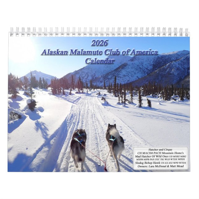 2026 Alaskan Malamute Club of America Calendar (Cover)