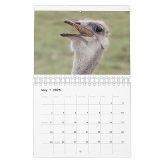 2026 Animal Calendar
