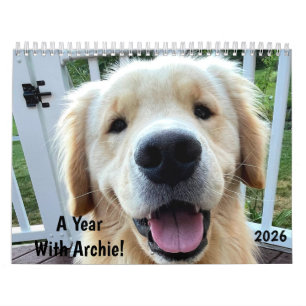2026 Archie Calendar
