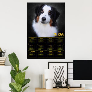 2026 Australian Shepherd Calendar  Poster