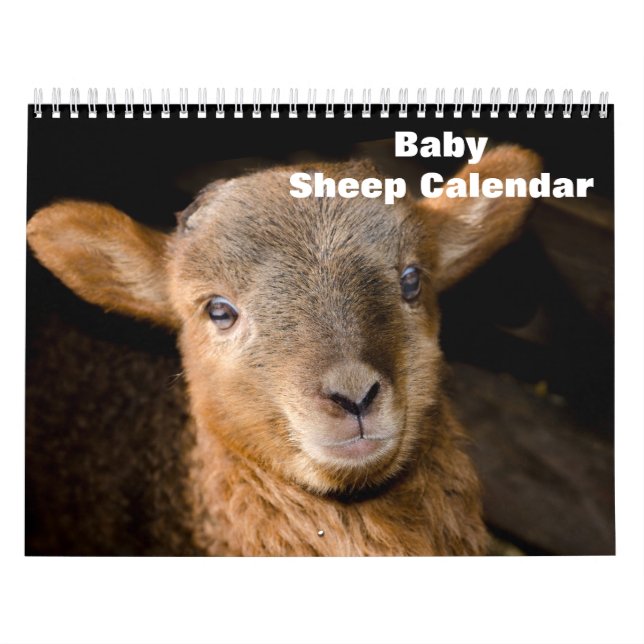2026 Baby Sheep Lamb Calendar (Cover)