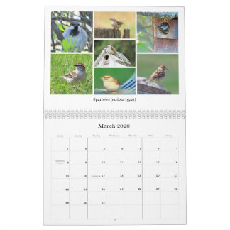 2026 Backyard Birding Calendar