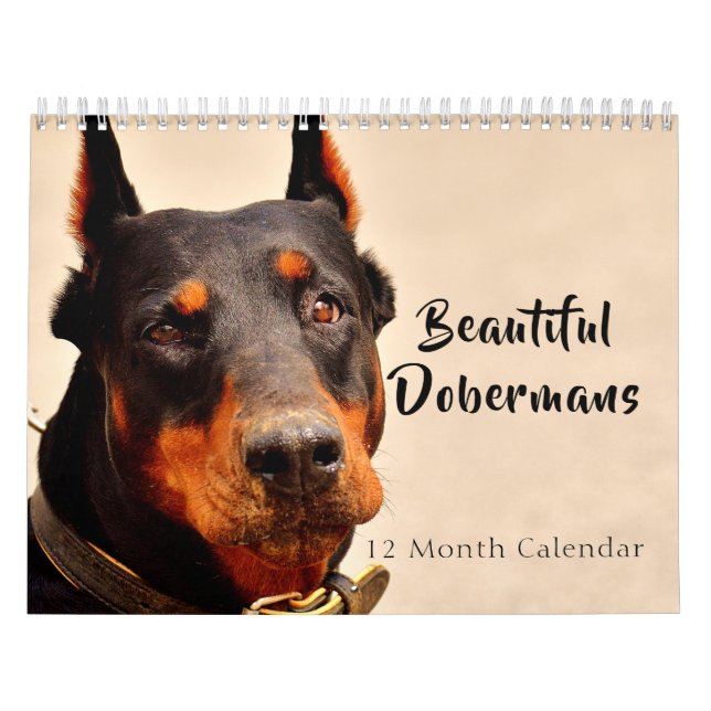 2026 Beautiful Dobermans Calendar (Cover)