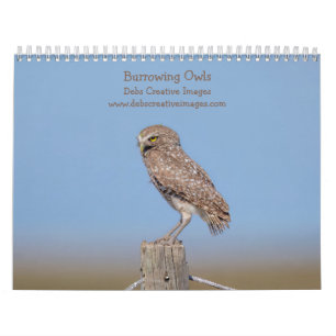 2026 Burrowing Owls of Florida Calendar