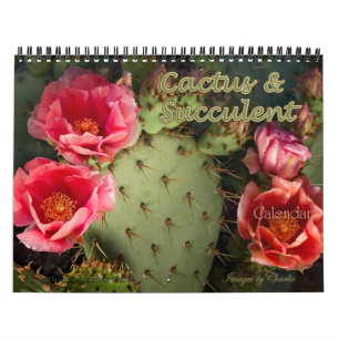 2026 Cactus & Succulent Flower Wall Calendar