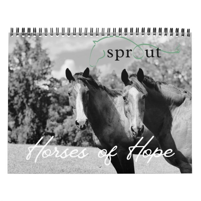 2026 Calendar (Cover)