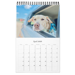 2026 Calendar - Adorable Dogs Galore