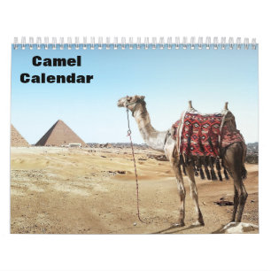 2026 Camel Calendar