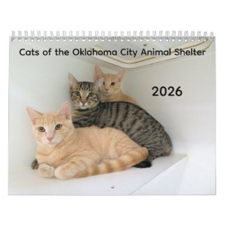 2026 Cats of the Oklahoma City Animal Shelter Calendar