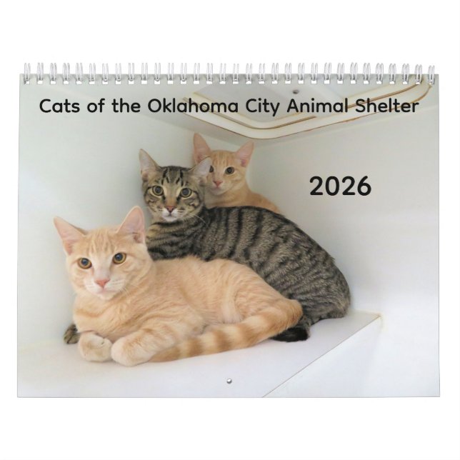 2026 Cats of the Oklahoma City Animal Shelter Calendar (Cover)