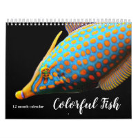 2026 Colourful Fish