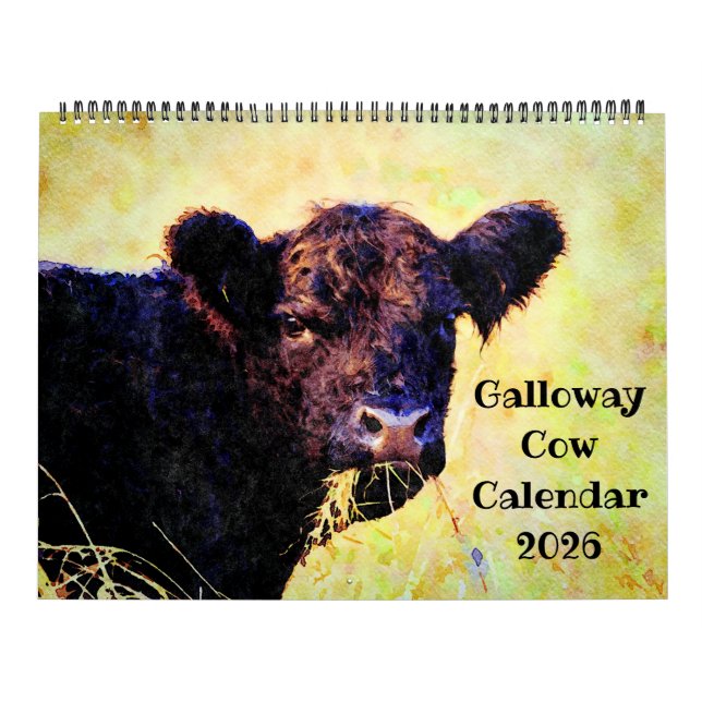 2026 Cute Galloway Cow Cattle Watercolour Painting Calendar (Cover)