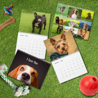 2026 Dog Breeds | Popular Dog Lovers