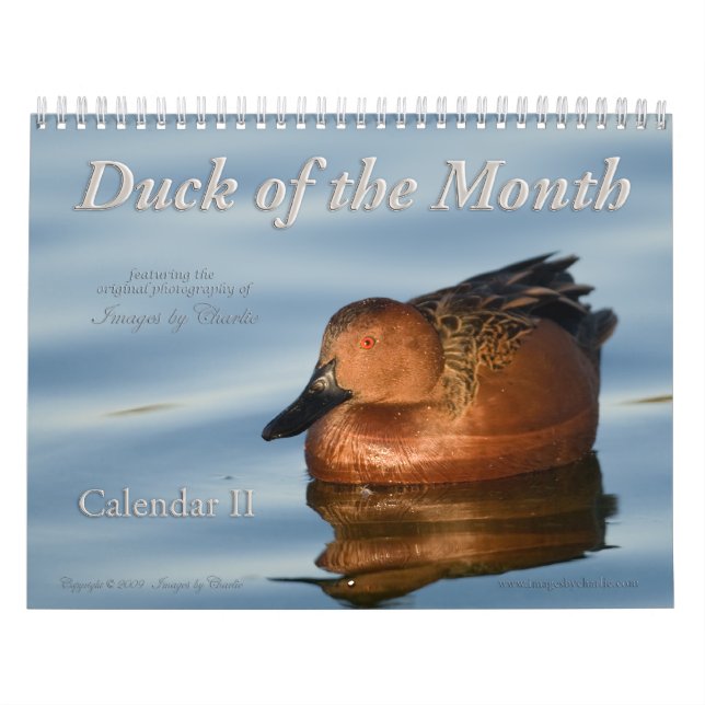 2026 Duck Photos Wall Calendar (Cover)