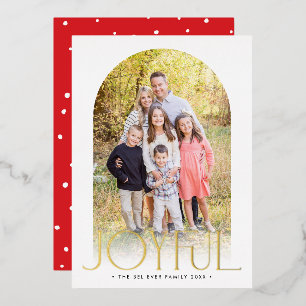 2026 FAMILY PHOTO minimal arch JOYFUL gold