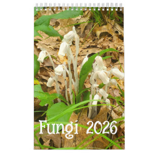 2026 Fungi Calendar