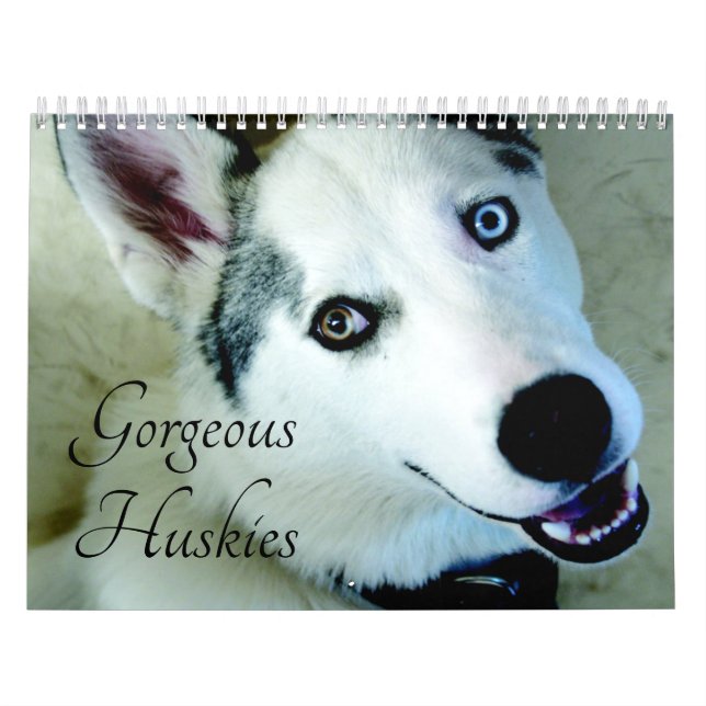 2026 Gorgeous Siberian Husky Dog Calendar (Cover)