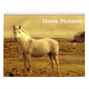 2026 Horse Pictures Images  Calendar