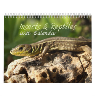 2026 Insects & Reptiles Calendar