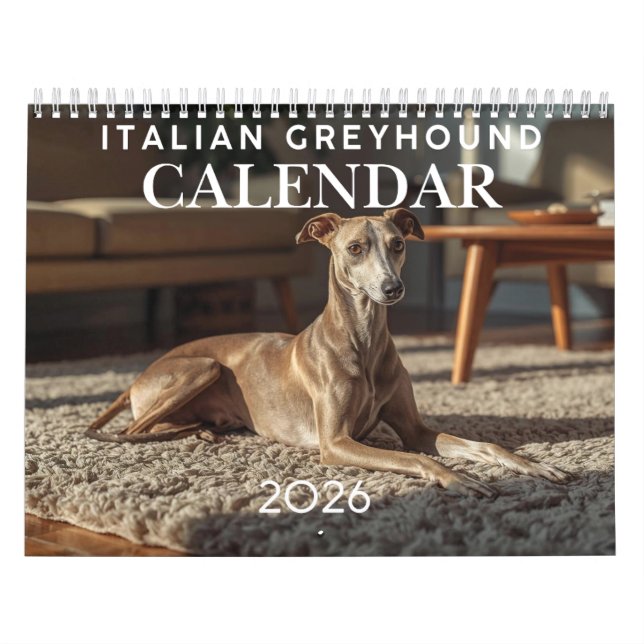 2026 Italian Greyhound Wall Calendar  (Cover)