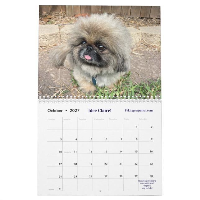 2026 Liz E.'s Pekingese Calendar (Oct 2027)