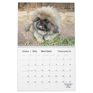 2026 Liz E.'s Pekingese Calendar
