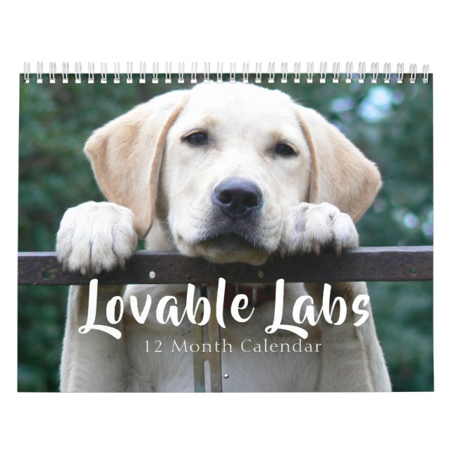 2026 Loveable Labrador Retriever Dog Calendar (Cover)