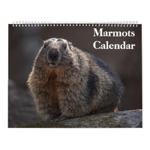 2026 Marmots Calendar