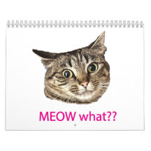 2026 MEOW what?? Calendar