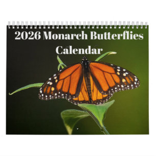 2026 Monarch Butterflies Calendar