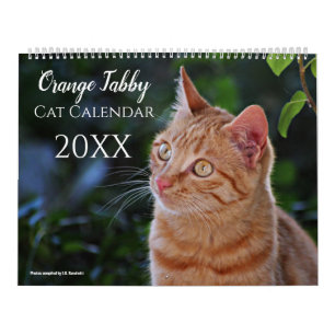 2026 Orange Tabby Cats and Kittens Calendar Cute