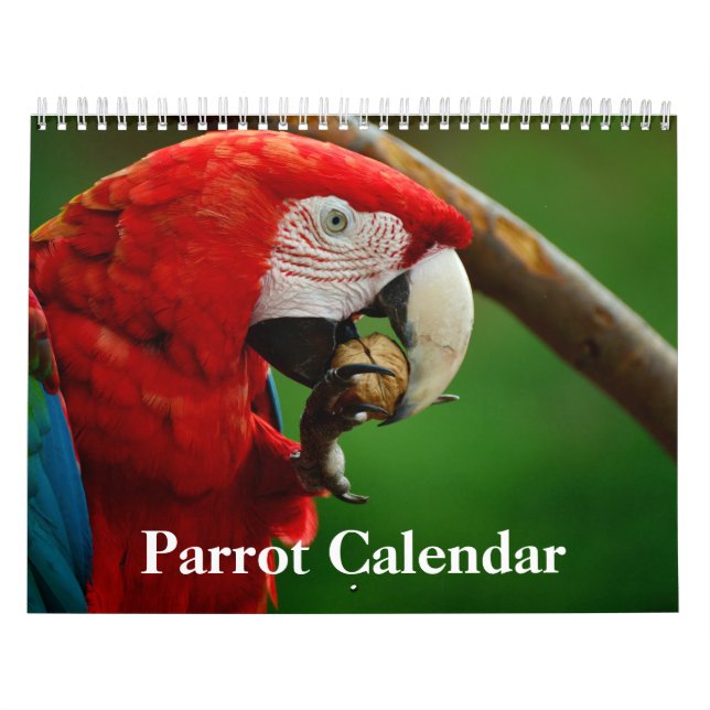 2026 Parrot Calendar (Cover)