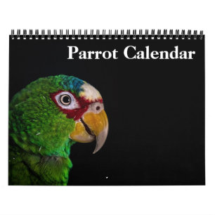 2026 Parrot Calendar
