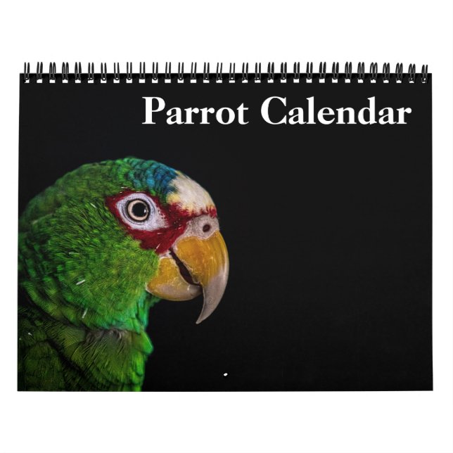 2026 Parrot Calendar (Cover)