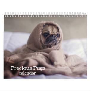 2026 Precious Pugs Calendar