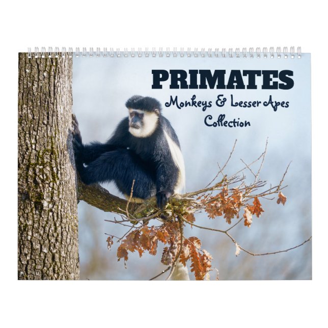 2026 Primates - Monkeys & Lesser Apes Collection Calendar (Cover)