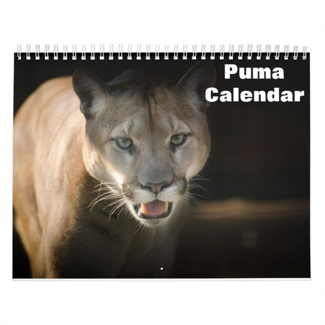 2026 Puma Calendar (Cover)