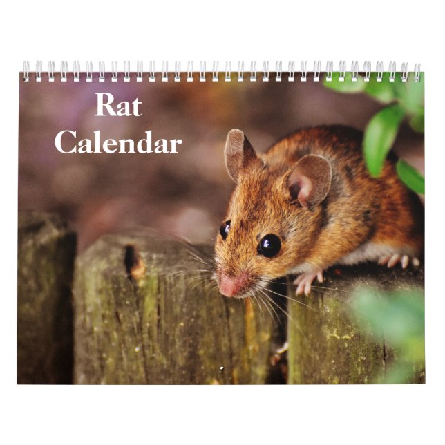 2026 Rat Calendar (Cover)