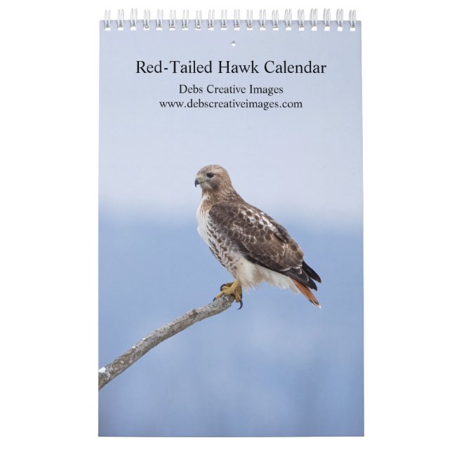 2026 Red-Tailed Hawk Calendar (Cover)