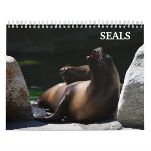 2026 Sea Lion Seals Calendar