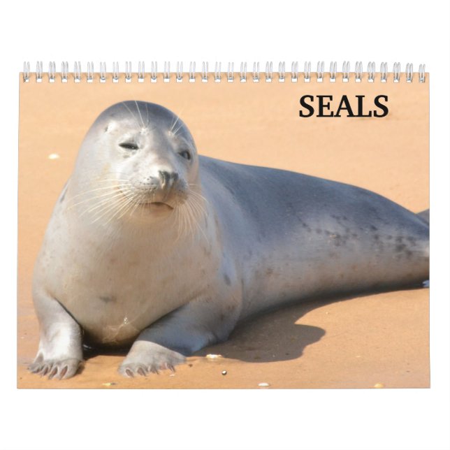 2026 Sea Lion Seals Calendar (Cover)