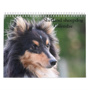 2026 Shetland Sheepdog Calendar