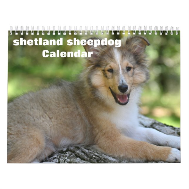 2026 Shetland Sheepdog Calendar (Cover)