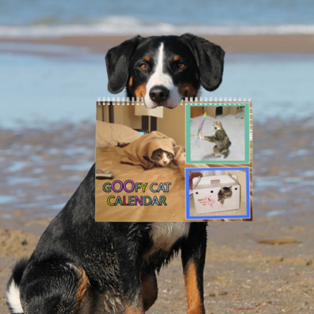 2026 silly cat Calendar (woof)