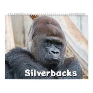 2026 Silverback Calendar