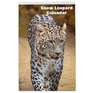 2026 Snow leopard Calendar