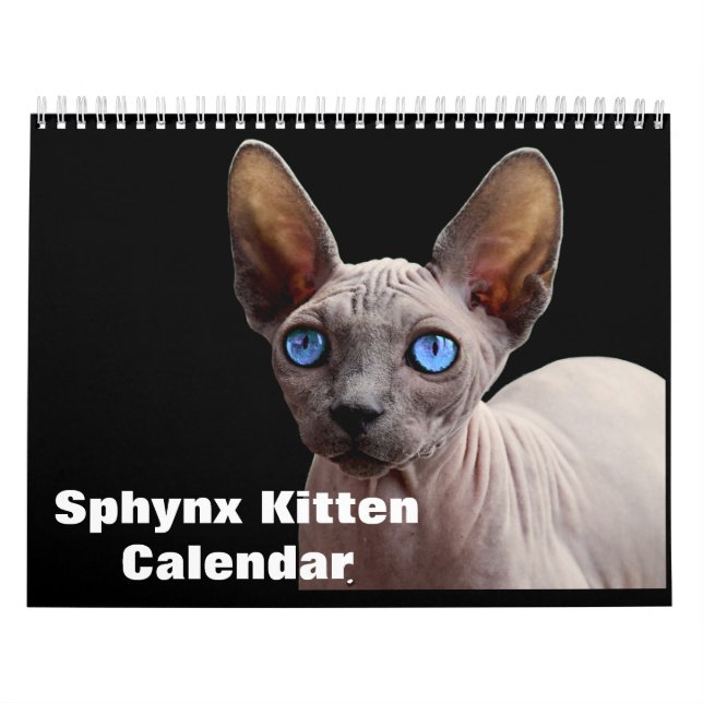 2026 Sphynx Kitten Calendar (Cover)