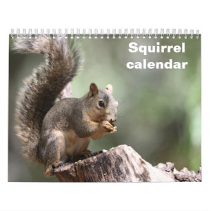 2026 Squirrel Calendar