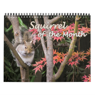 2026 Squirrel Photo Wall Calendar