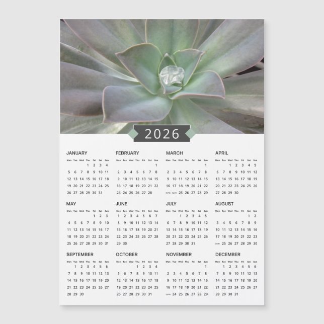 2026 Succulent Photograph Calendar Magnet (Front)